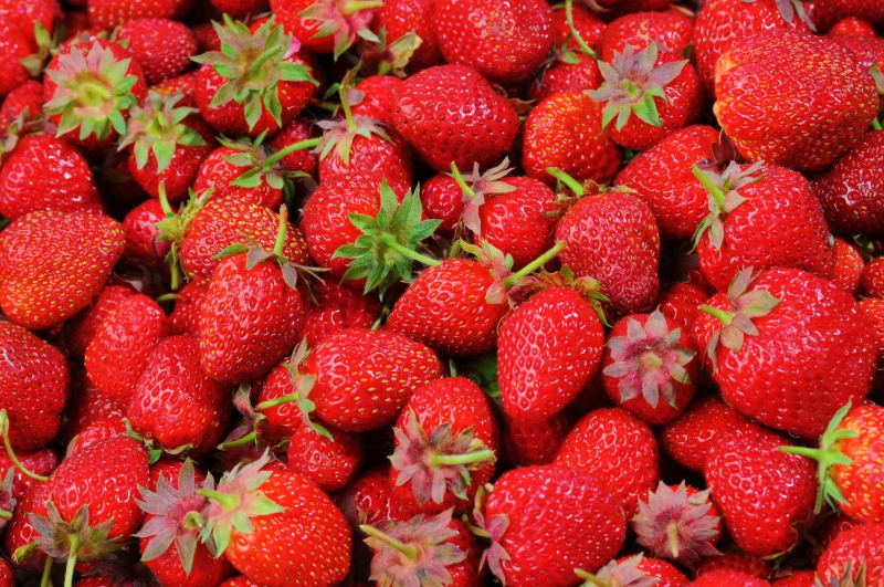 primeur-BRIGNOLES-min_strawberries-528791